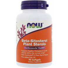 Beta sitosterol Now Foods Beta-Sitosterol Plant Sterols 90 st