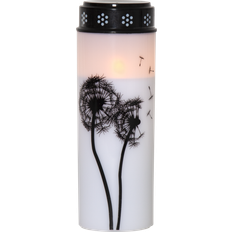 Med lock Lyktor Star Trading Memorial Dandelion Lykta 21cm