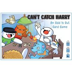  Can't Catch Harry