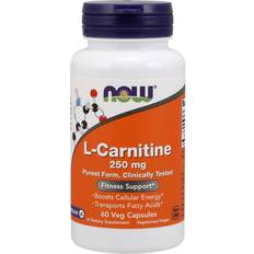 Now Foods L Carnitine 250mg 60 Stk.