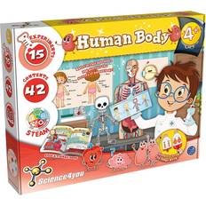 Human Body