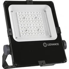 LEDVANCE Projektør Floodlight Performance 50W 3000K 5800 lm, asym, 55x110