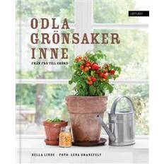 Hem & Trädgård - Svenska Böcker Odla grönsaker inne : från frö till skörd (Inbunden)