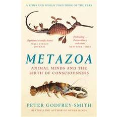 Metazoa (Paperback)