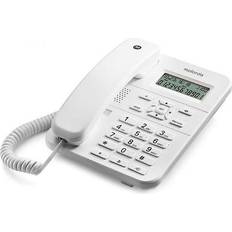 CT202 White