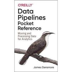 Data Pipelines Pocket Reference (Häftad)