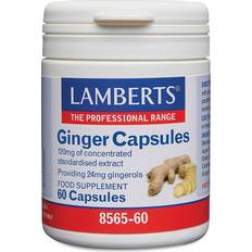 Jengibre Suplementos Lamberts Ginger Capsules 60 pcs