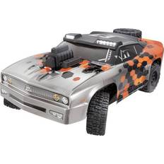 Reely Rat Max Brushless 1:10 XL Automodello Elettrica Rally 4WD RtR 2,4 GHz