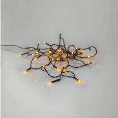 Star Trading 594-17 Golden Lampada a Corda 280 Lampade
