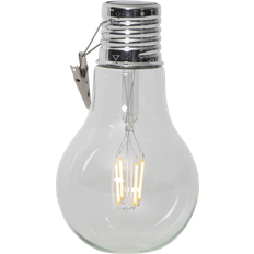 480-24 Incandescent Lamps  03W