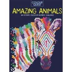 Colour Quest®: Amazing Animals (Hæftet)