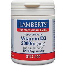 Vitamins & Supplements Lamberts Vitamin D3 2000iu 120 pcs