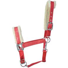 Hy Equestrian Christmas Santa Head Collar