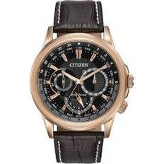 Watches Citizen World Rose (BU2023-04E)