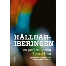 Hållbariseringen : en guide för företag i omställning (Inbunden)