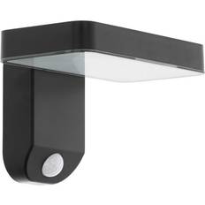 Eglo Pastion Wall light