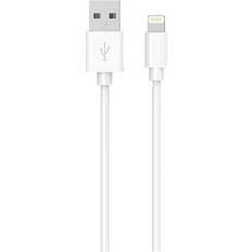 USB A-Lightning