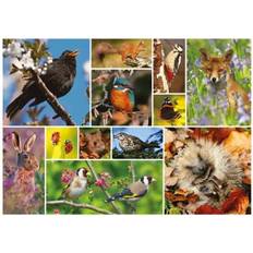 Jigsaw Puzzles Otter House Great British Wildlife 1000 Pieces