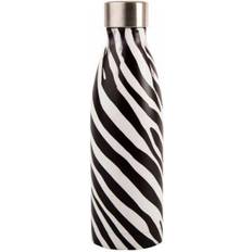 Navigate Madagascar Zebra Stripe Water Bottle 0.5L