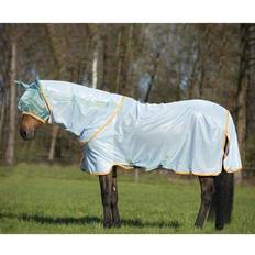 Amigo Bug Fly Rug