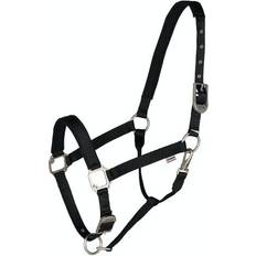 B Vertigo Hardwick Head Collar