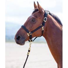 Shires Topaz Nylon Headcollar