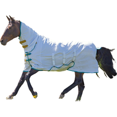 Tempest Plus Sweet Itch Combo Rug