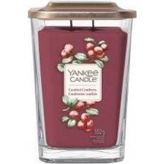 Candied Cranberry Large Doftljus 552g