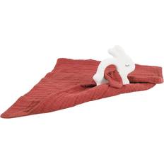 Rubber Rabbit with Towel