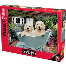 Puzzle 260 Puppies in a wheelbarrow