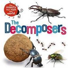 The Insects that Run Our World: The Decomposers (Häftad)