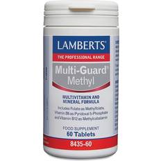 Koper Vitaminen en Mineralen Lamberts Multi-Guard Methyl