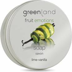 Greenland Fruit Emotions Soap Cake Lime Vanilla 100ml