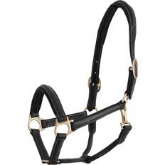 Full Paardenhalsters Jacson Leather Halter Cancun Brown, Unisex, Apparatuur, ruiter, Paardensport, Bruin, X-Full