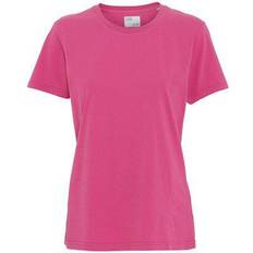 Colorful Standard Women Light Organic Tee - Bubblegum Pink