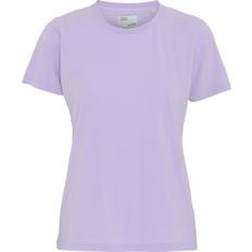 Colorful Standard Women Light Organic Tee - Soft Lavender