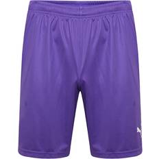 Puma Kid's Liga Shorts - Prism Violet/WhiteKid's Liga Shorts