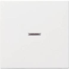 Gira Switches Gira Cover Control switch System 55, Standard 55, E2, Event, Event Tranparent, Event Opaque, Esprit, ClassiX Pure white, Matt 029027