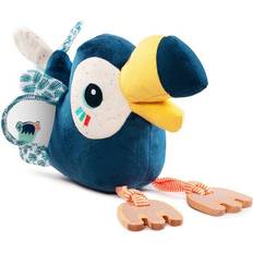 Multi Activity Toucan