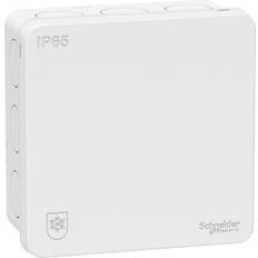 Kopplingsdosa ip65 Schneider Electric Kopplingsdosa IP65 2K Vit