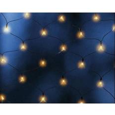 Light Chain