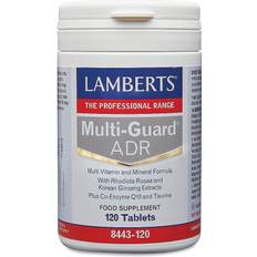 Lamberts Vitaminer & Mineraler Lamberts Multi-Guard ADR 120 st