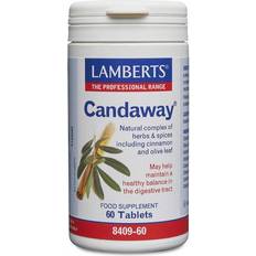 Lamberts Candaway