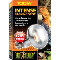 Exo Terra Intense Basking Spot 100W