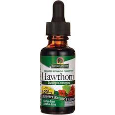 Vitamins & Supplements Nature's Answer Hawthorn 30ml