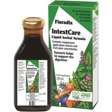 Floradix Intest Care 250 ml