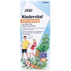 Salus Mezina Kindervital 250 ml
