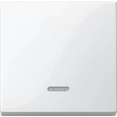 Cover Control switch System M, 1-M, M-Smart, M-Plan, M-Creativ Polar white glossy 436019