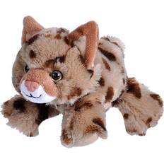 23129 Hug´EMS Plush Bobcat, Soft Toy, 18 cm