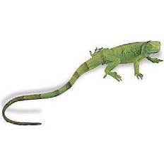 Safari Figurines Safari Ltd Iguana Baby From 3 Years Green